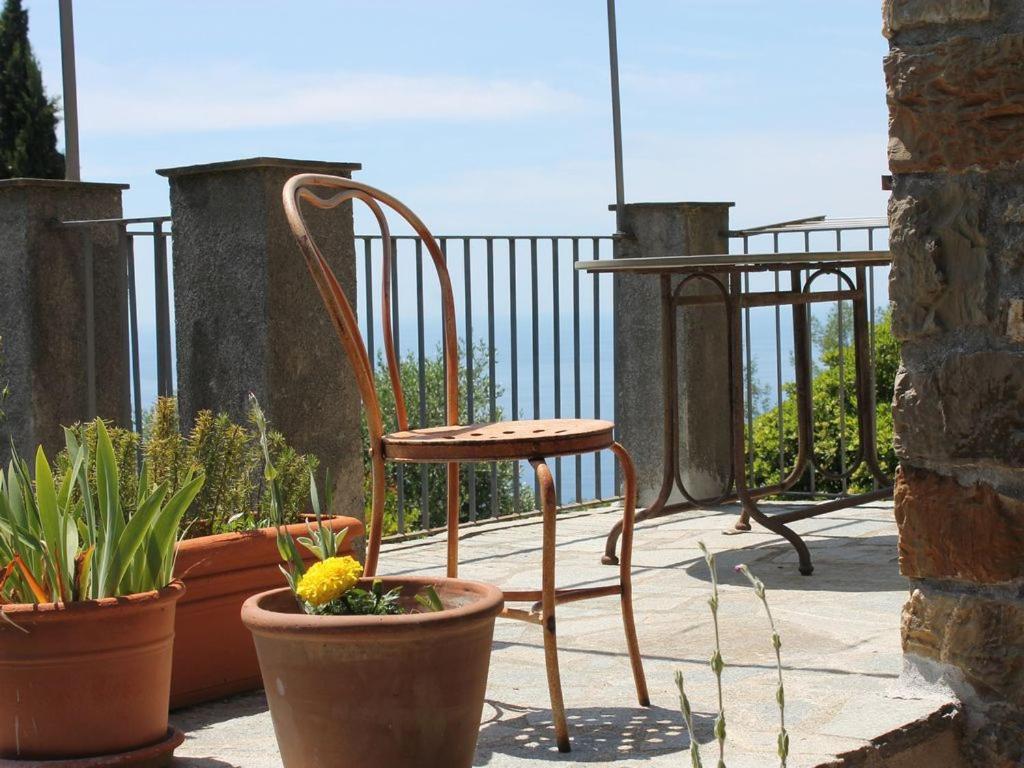 Cottage La Casa Del Pittore Reggimonti Dış mekan fotoğraf
