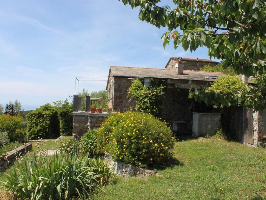 Cottage La Casa Del Pittore Reggimonti Dış mekan fotoğraf