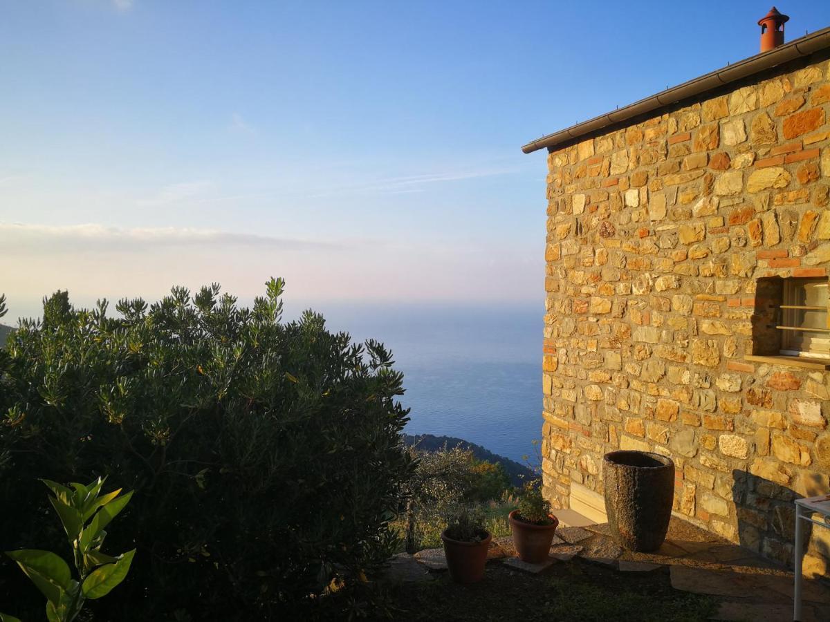 Cottage La Casa Del Pittore Reggimonti Dış mekan fotoğraf