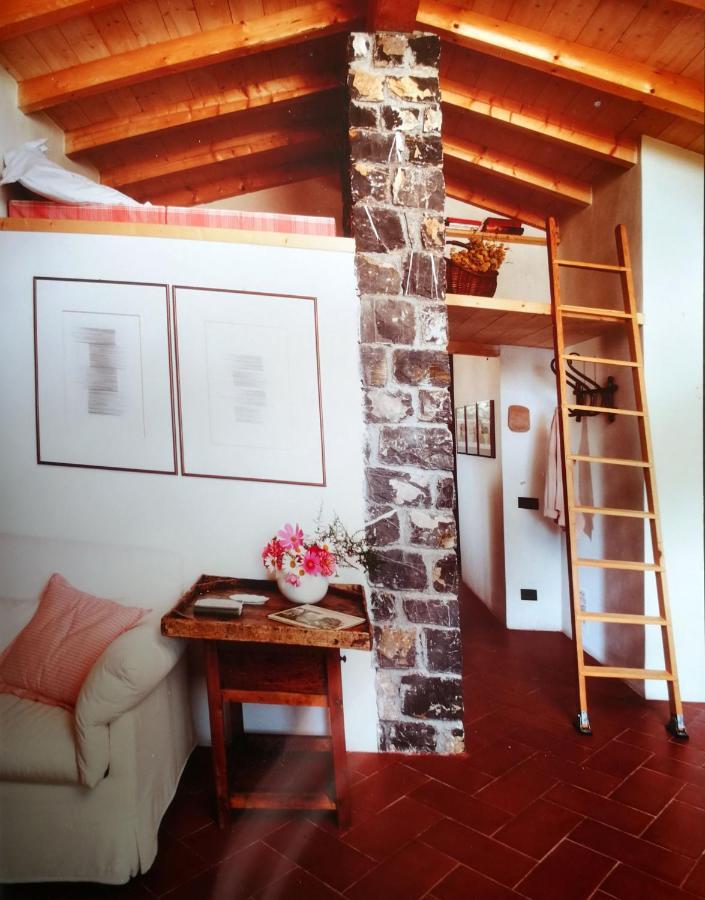 Cottage La Casa Del Pittore Reggimonti Dış mekan fotoğraf