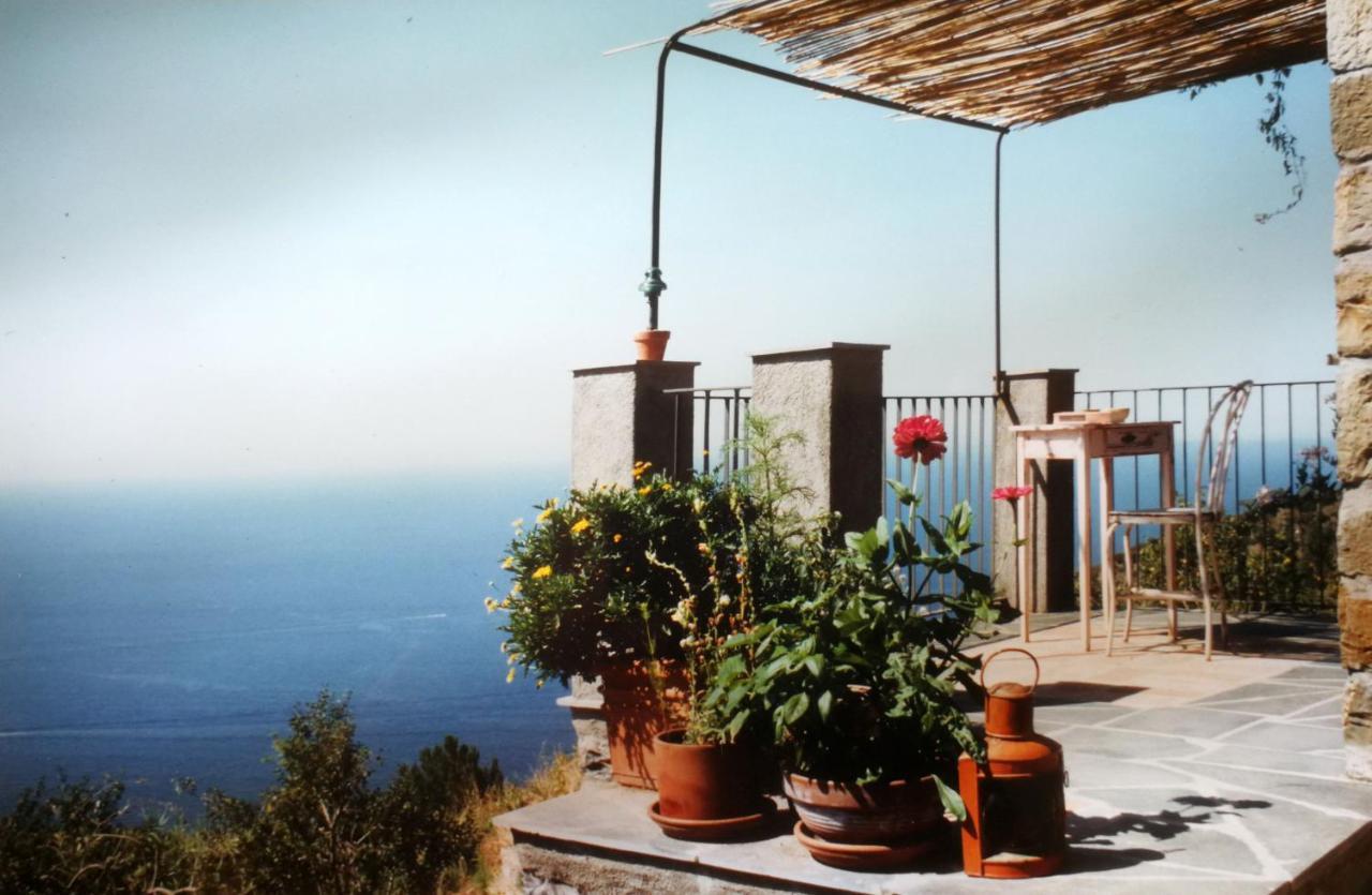 Cottage La Casa Del Pittore Reggimonti Dış mekan fotoğraf