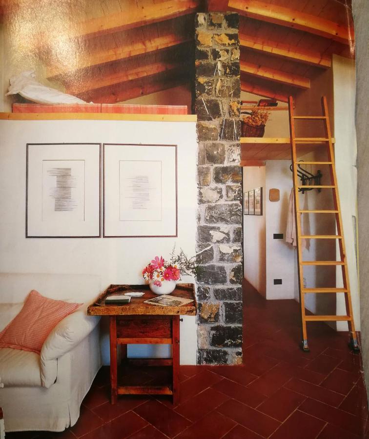 Cottage La Casa Del Pittore Reggimonti Dış mekan fotoğraf