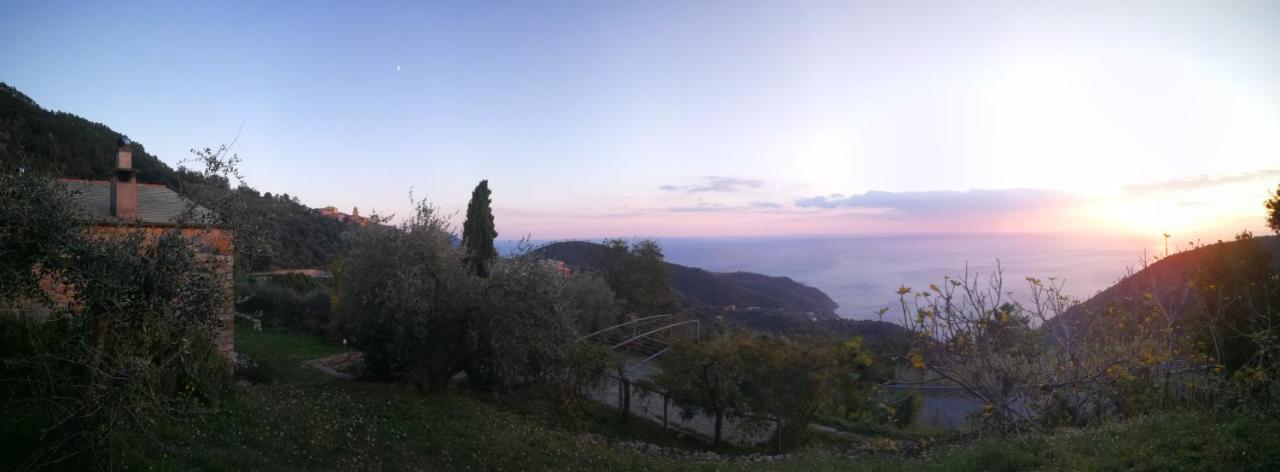 Cottage La Casa Del Pittore Reggimonti Dış mekan fotoğraf