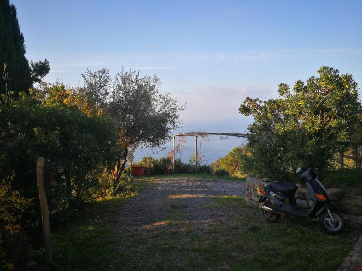 Cottage La Casa Del Pittore Reggimonti Dış mekan fotoğraf