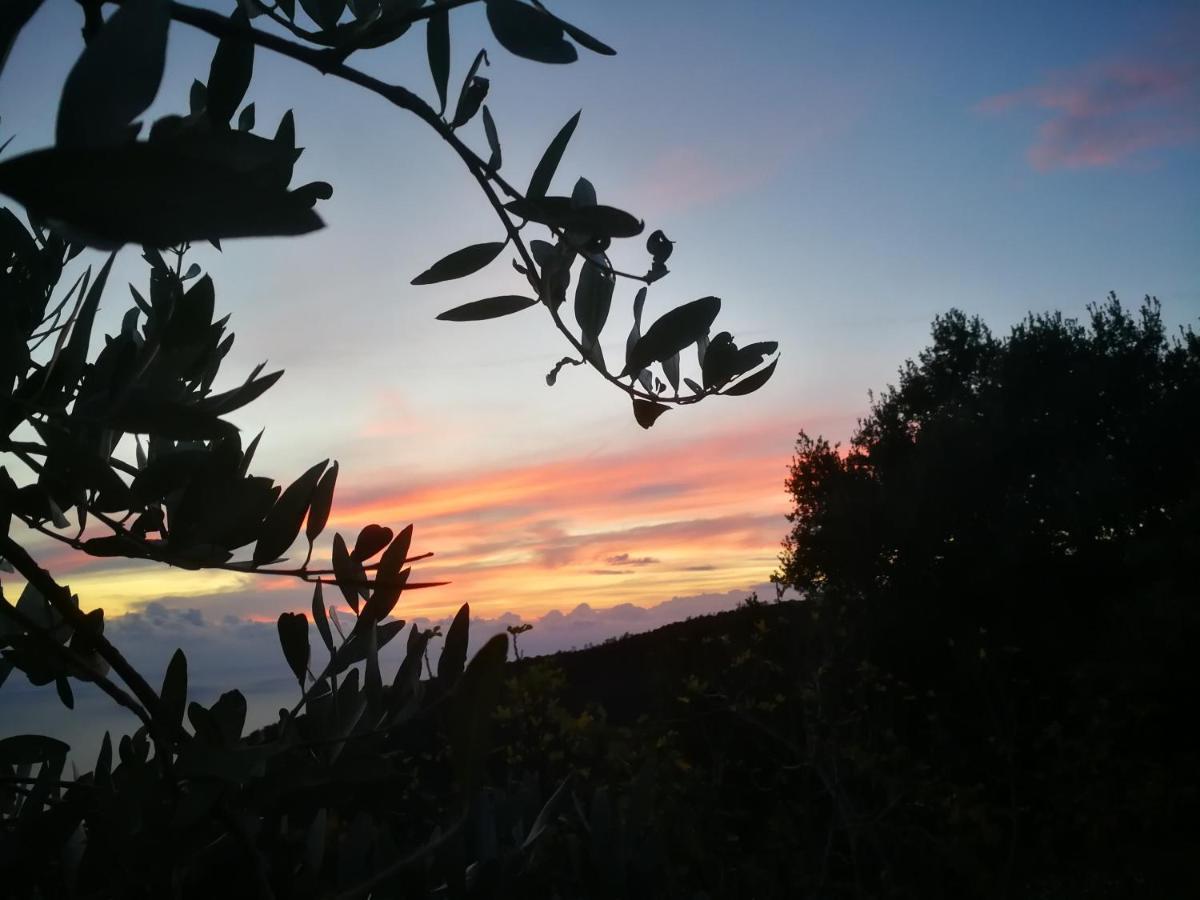 Cottage La Casa Del Pittore Reggimonti Dış mekan fotoğraf