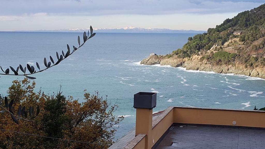 Cottage La Casa Del Pittore Reggimonti Dış mekan fotoğraf