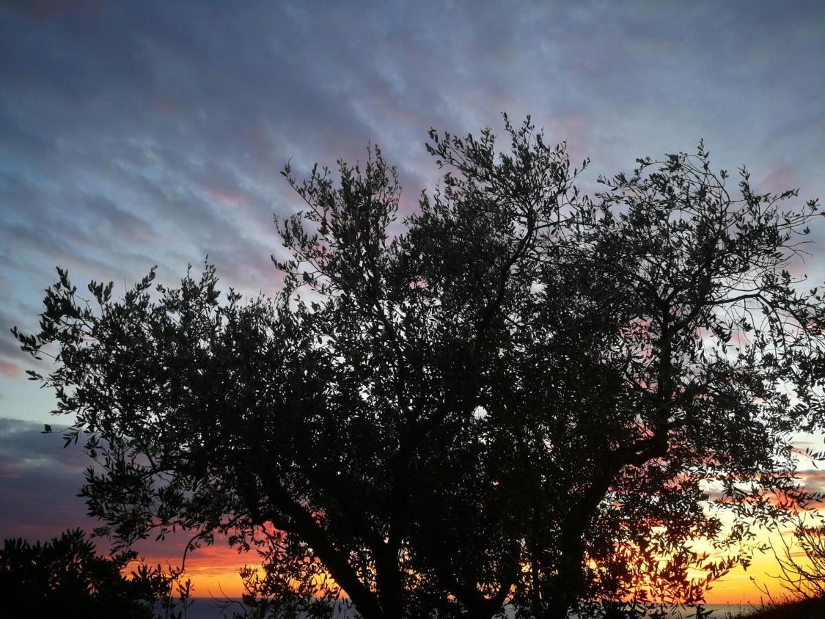 Cottage La Casa Del Pittore Reggimonti Dış mekan fotoğraf