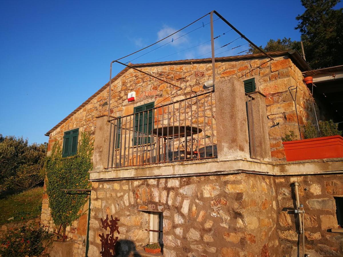 Cottage La Casa Del Pittore Reggimonti Dış mekan fotoğraf