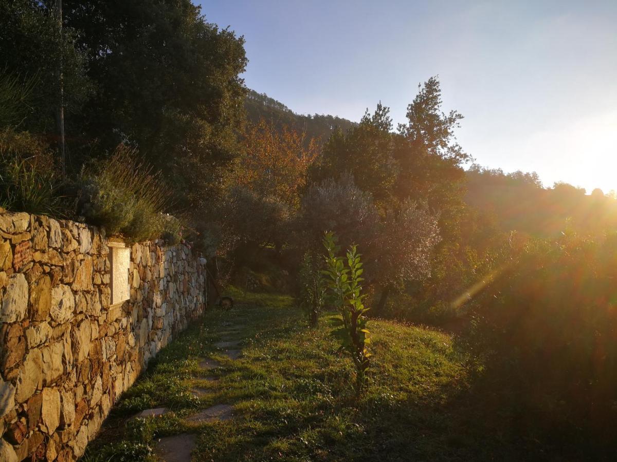 Cottage La Casa Del Pittore Reggimonti Dış mekan fotoğraf