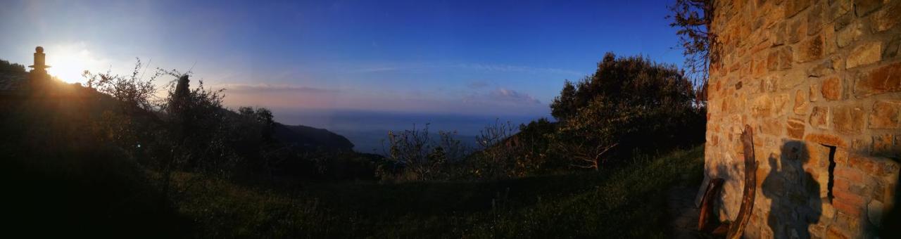 Cottage La Casa Del Pittore Reggimonti Dış mekan fotoğraf