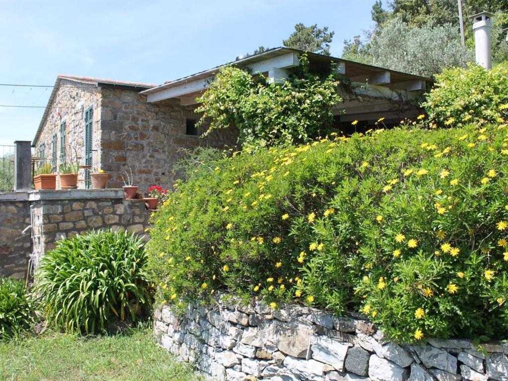 Cottage La Casa Del Pittore Reggimonti Dış mekan fotoğraf